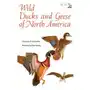 Wild ducks and geese of north america Winward publishing Sklep on-line