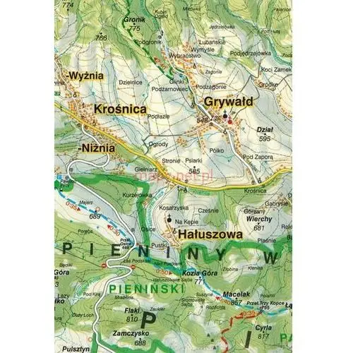 Szczawnica, Krościenko i okolice. Mapa turystyczna / Plan miasta. WiT