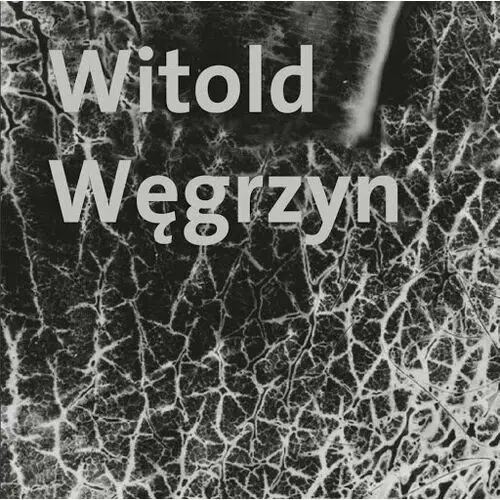 Witold Węgrzyn. Nieuchwytna materialność