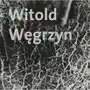 Witold Węgrzyn. Nieuchwytna materialność Sklep on-line