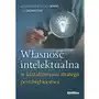 Własność intelektualna w kształtowaniu strategii przedsiębiorstwa Sklep on-line