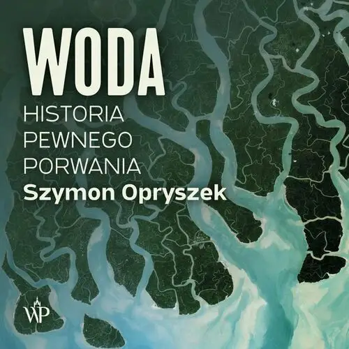 Woda. Historia pewnego porwania