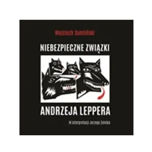 Wojciech sumliński reporter Niebezpieczne związki audiobook