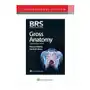 Brs gross anatomy Wolters kluwer Sklep on-line