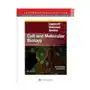 Lippincott Illustrated Reviews: Cell and Molecular Biology Sklep on-line