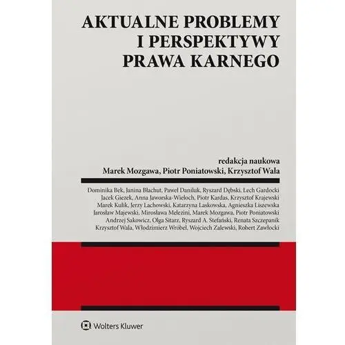 Aktualne problemy i perspektywy prawa karnego