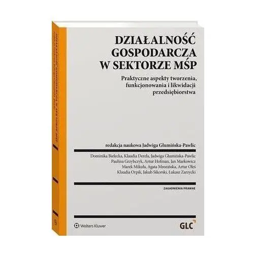 Działalność gospodarcza w sektorze mśp - jadwiga glumińska-pawlic (pdf),B