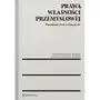 Prawa własności przemysłowej. przedmiot, treść i naruszenie Wolters kluwer polska sa Sklep on-line