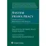 System prawa pracy. tom ii. indywidualne prawo pracy. część ogólna Sklep on-line