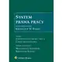 System prawa pracy. tom iii. indywidualne prawo pracy. część szczegółowa Sklep on-line