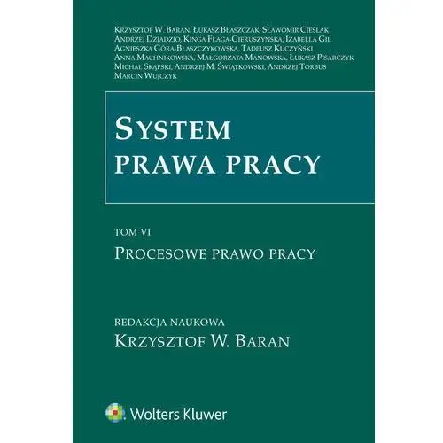 System prawa pracy. tom vi. procesowe prawo pracy