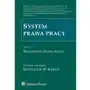 System prawa pracy. tom vi. procesowe prawo pracy Sklep on-line