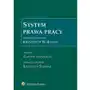 System prawa pracy. tom xiii Sklep on-line