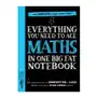 Workman publishing Everything you need to ace maths in one big fat notebook Sklep on-line