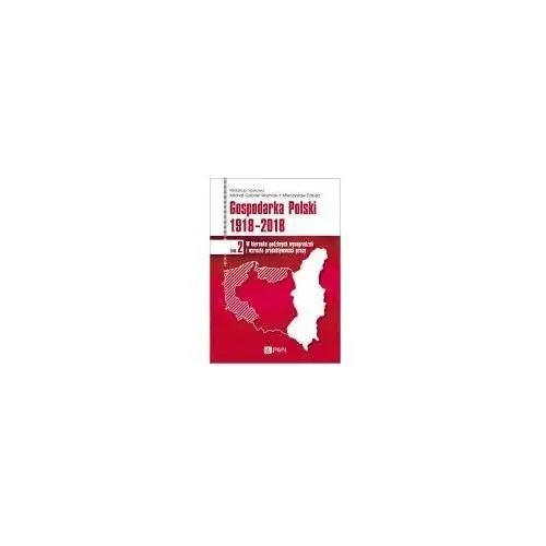 Woźniak michał gabriel,dobija mieczysław Gospodarka polski 1918-2018 w kierunku godziwych wynagrodzeń i wzrostu produktywności pracy tom 2 - michał gabriel woźniak,mieczysław dobija