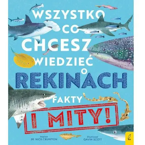 Wszystko, co chcesz wiedzieć o rekinach. Fakty i mity