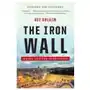 Iron wall - israel and the arab world Ww norton & co Sklep on-line