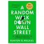 Ww norton & co Random walk down wall street Sklep on-line