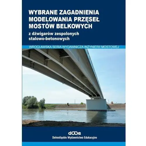 Wybrane zagadnienia modelowania przęseł mostów belkowych