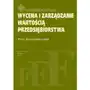 Wycena i zarządzanie wartością przedsiębiorstwa Sklep on-line