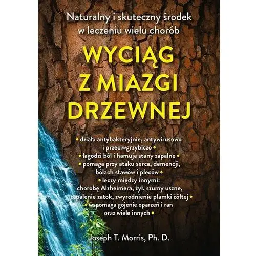 Wyciąg z miazgi drzewnej