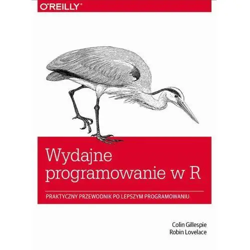 Wydajne programowanie w r