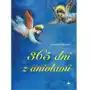 365 dni z aniołami - marcello stanzione - książka Wydawnictwo aa Sklep on-line