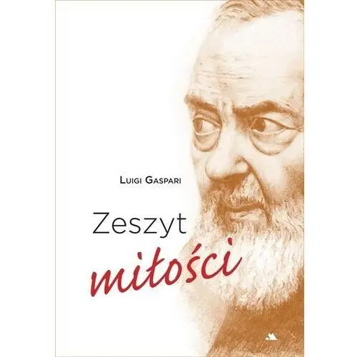 Zeszyt miłości - luigi gaspari - książka Wydawnictwo aa