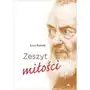 Zeszyt miłości - luigi gaspari - książka Wydawnictwo aa Sklep on-line