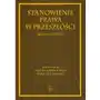 Wydawnictwo aeh Stanowienie prawa w przeszłości. zbiór studiów Sklep on-line