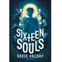 Sixteen souls Wydawnictwo albatros Sklep on-line