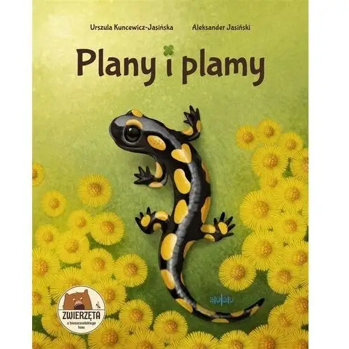 Plany i plamy