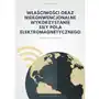 Właściwości oraz niekonwencjonalne wykorzystanie siły pola elektromagnetycznego Wydawnictwo e-bookowo Sklep on-line