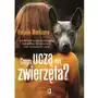 Czego uczą nas zwierzęta? jak domowi terapeuci pomagają nam pozbyć się ograniczeń i stać się lepszymi ludźmi Sklep on-line