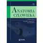 Wydawnictwo lekarskie pzwl Anatomia człowieka t.2 Sklep on-line