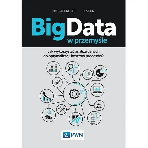 Wydawnictwo naukowe pwn Big data w przemyśle - hyunjoung lee, il sohn