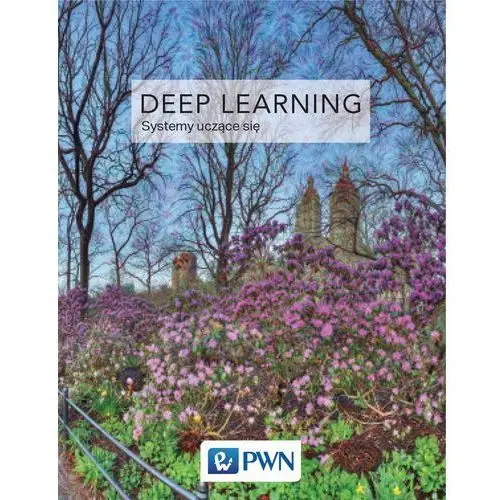 Deep learning. Systemy uczące się - IAN GOODFELLOW,100KS (8079220)