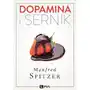 Dopamina i sernik, 35C6CEB6EB Sklep on-line