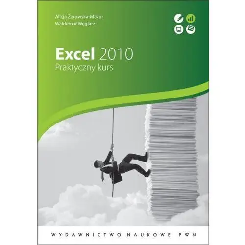 Excel 2010. praktyczny kurs