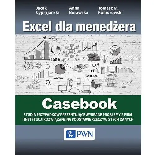 Excel dla menedżera - casebook Wydawnictwo naukowe pwn