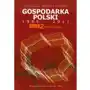 Gospodarka polski 1990-2011. tom 2. modernizacja,100KS (216732) Sklep on-line