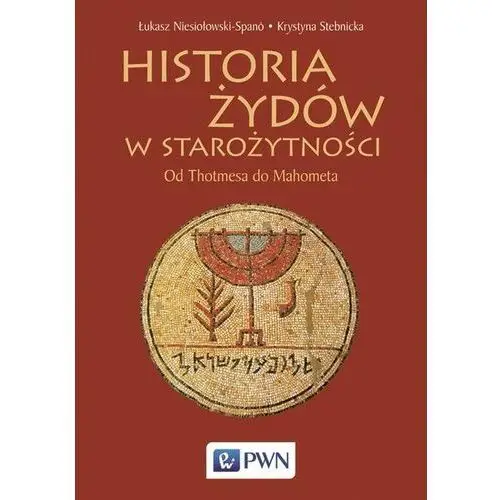 Historia żydów w starożytności - niesiołowski-spano łukasz, stebnicka krystyna