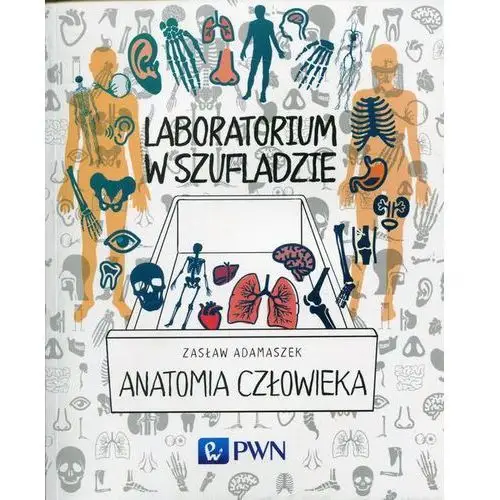 Laboratorium w szufladzie. anatomia człowieka Wydawnictwo naukowe pwn