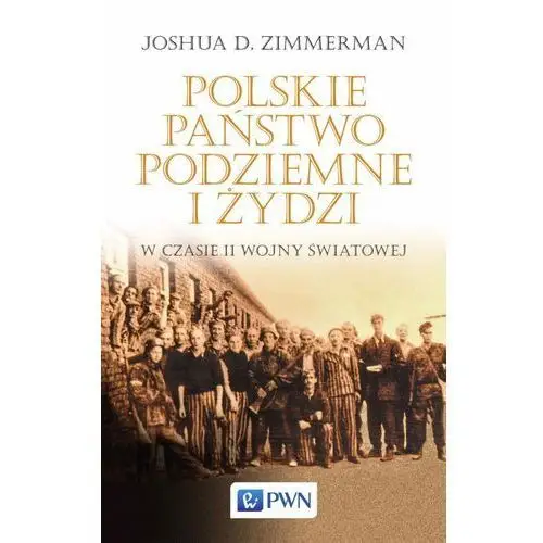 Polskie państwo podziemne i żydzi Wydawnictwo naukowe pwn