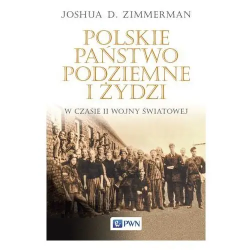 Polskie państwo podziemne i żydzi w czasie ii wojny światowej - joshua d. zimmerman