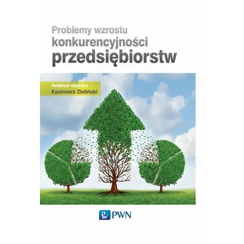 Problemy wzrostu konkurencyjności przedsiębiorstw, AZ#BBAE4737EB/DL-ebwm/mobi