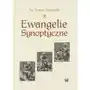 Ewangelie synoptyczne. Geneza i interpretacja (E-book), 978-83-8281-365-4 Sklep on-line