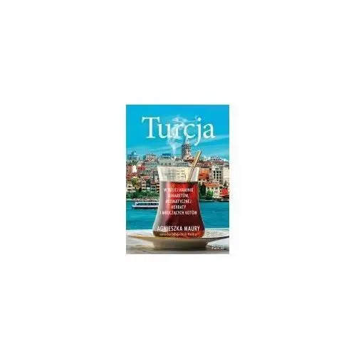 Wydawnictwo pascal Turcja. w mojej krainie minaretów, aromatycznej herbaty i mruczących kotów