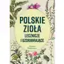 Polskie zioła lecznicze i uzdrawiające wyd. 2024 Sklep on-line