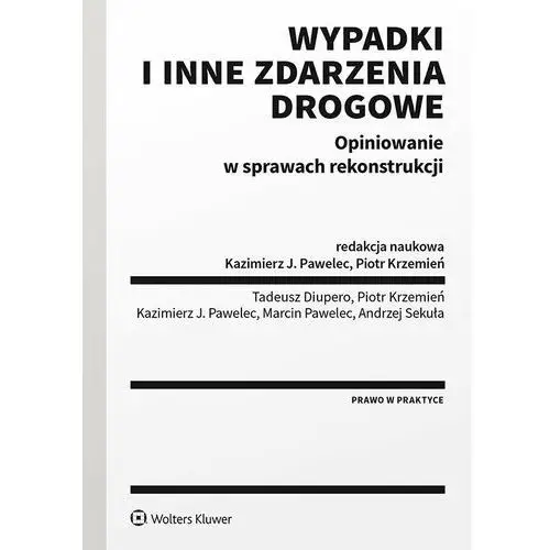 Wypadki i inne zdarzenia drogowe. Opiniowanie w sprawach rekonstrukcji